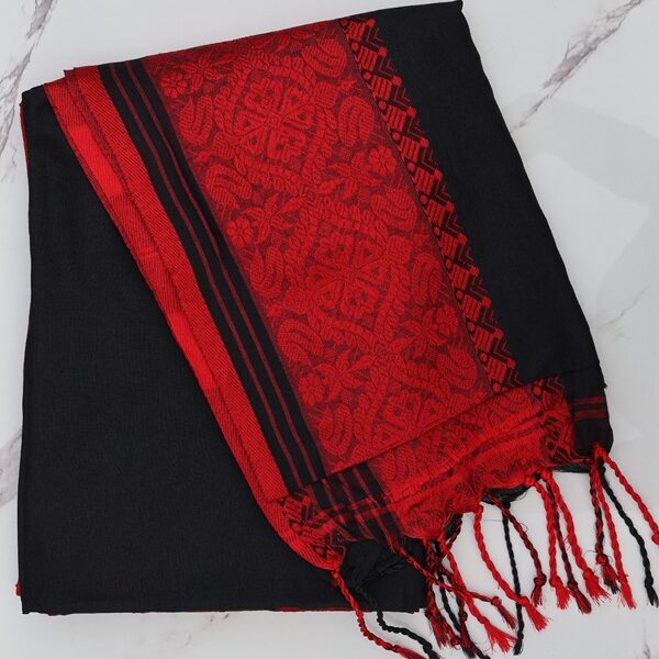 Saree 13